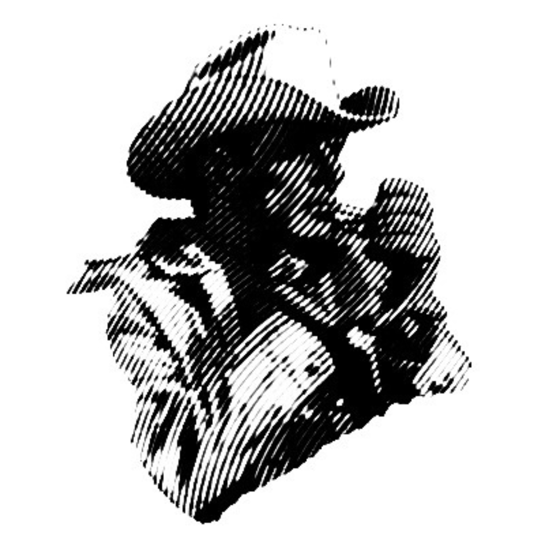 EcommCowboy halftone cowboy illustration